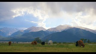 Hold Our Ground  RANCHERS [upl. by Malinda]