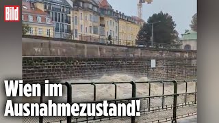 Hochwasser in Europa Die Flutwelle hat Wien erreicht [upl. by Cherie522]