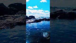 The Sound Of Ocean oceanwaves seawaves seawavessound oceansounds naturelovers wanderlust [upl. by Torto]