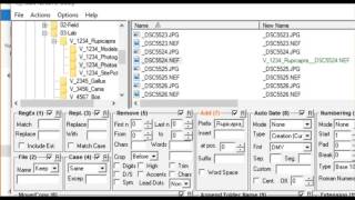 05Photogrammetry 3D Fossils Setting up Folders Renaming Photos [upl. by Efar153]