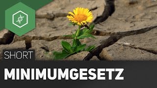 Minimumgesetz  Wie wachsen Pflanzen am Besten [upl. by Krahling]