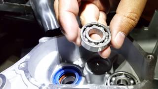 How to install GY6 Bearings Chain Guide Gasket Spray Oil Seals amp Stroker Part 5 [upl. by Knuth]