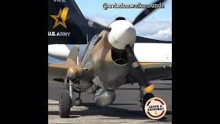 Hear the Engine of the P40 Warkawk Wold War II Fighter Kittyhawk aviation warbirds history [upl. by Hacker659]