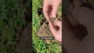 Finding old coins in a yard from a 1903 home detectinghistory treasure colonialhistory [upl. by Rugen]