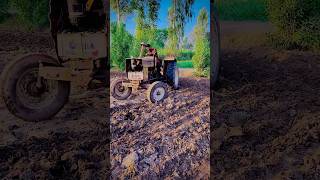 Difficult for fiat to carry speed farming satisfying engine foryou shorts views viralshorts [upl. by Lilak921]