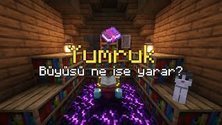 YumrukİtmePunch Büyüsü Ne İşe Yarar  Minecraft Büyü Serisi 7 [upl. by Oremoh390]