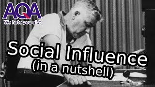 Social Influence in a nutshell AQA A Level Psychology Paper 1 [upl. by Liarret]