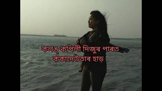 পলস  Assamese poem by Nabakanta Barua [upl. by Bernice709]