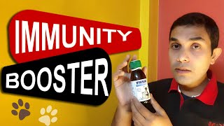 Immunity Booster for Dog in Hindi  VIUSID pet  Himalaya Immunol  LifeWithRudra [upl. by Noswal159]