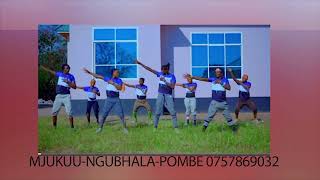 Mjukuu Ngubhala Song Pombe Official Audio [upl. by Sylera412]