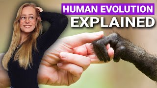 Human Evolutionary Timeline Explained [upl. by Eel]