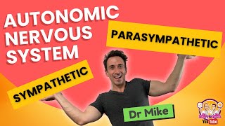 Autonomic Nervous System Sympathetic amp Parasympathetic  Overview [upl. by Otrebcire]