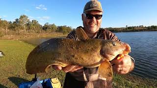 Afternoon Fishing at Wivenhoe Dam [upl. by Laenahtan]