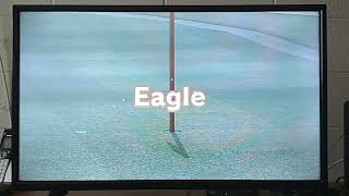 Wii Sports Club Golf Classic 6 Eagle Chip [upl. by Damahom]