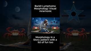 Burkit Lymphoma Morphology Visual Mnemonic  MBBS  NEET PG  FCPS  Cancer  Doctor [upl. by Netfa]