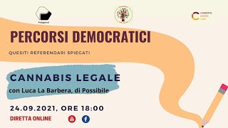 Cannabis legale il referendum [upl. by Gibeon]