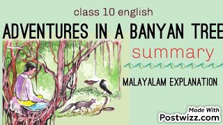 summary  adventures in a banyan tree explanation [upl. by Yvi]