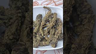 Tagar Ganth  Mushkbala  Indian Valerian Root  Valeriana Wallichi [upl. by Ketti]