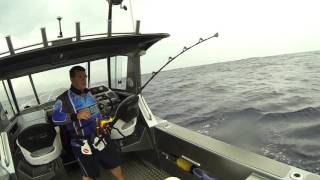 Marlin caught fishing solo at bermagui [upl. by Baruch]