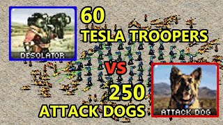 60 Desolators vs 250 Dogs Same Cost  Red Alert 2 [upl. by Ayatan]