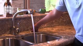 How to Reset a Garbage Disposal [upl. by Gretal410]