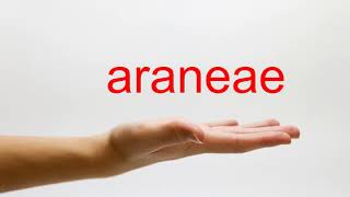 How to Pronounce araneae  American English [upl. by Ecinaj]