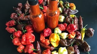 Making Hot Sauce Using The Hottest Peppers [upl. by Matronna]