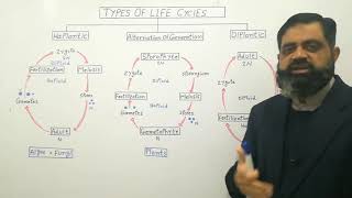 Types of life cycles UrduHindi medium profmasoodfuzail  Haplontic life cycle  Diplontic [upl. by Stander]