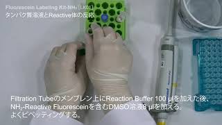 Fluorescein Labeling Kit  NH2 同仁化学研究所 [upl. by Halet]