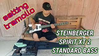 CARA SETTING TREMOLO STEINBERGER SPIRIT XT 2 STANDARD BASS DAN UNBOXING ALAT TEMPUR EFEK BASS [upl. by Dewain]