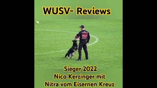 WUSV Reviews 2022 Nico Kerzinger mit Nitra vom Eisernen Kreuz [upl. by Ajiat479]