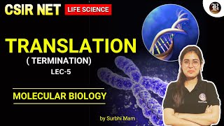 Termination  Lec05 Molecular Biology  CSIR NET Life science GATE XL  Bansal Academy [upl. by Reivazx]