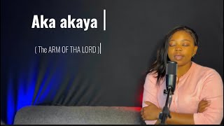 Vimby Vee  Aka Akaya cover hallelujahchallenge worship [upl. by Beryle517]