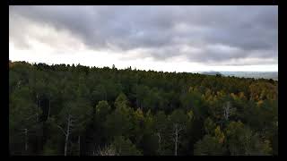 Fall Over for Fall in Flagstaff Arizona  Aspen Corner on the San Francisco Peaks [upl. by Horlacher670]