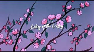 Luiiaby  Lilies of the Valley Lofi Ver [upl. by Nyrek739]