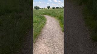 Rocky Mountain Arsenal National Wildlife Refuge during the 2023 rains nature colorado parks [upl. by Anivel318]