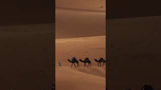 Exploring Sahara Desert saharadesert desert southafrica [upl. by Ecurb178]