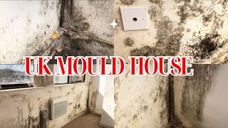 Surviving a Moldy UK House for 24 Months [upl. by Artinahs670]