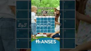 Cronograma de Anses con fechas de pago de asignaciones familiares del SUAF en octubre anses [upl. by Allina674]