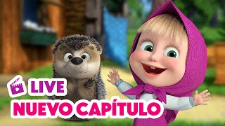 🔴 LIVE 🐻👧 Masha y el Oso 💥 NUEVO CAPÍTULO 🎃😱🦔 Alguien llama 🎬 Masha and the Bear [upl. by Rachaba]