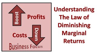 Understanding The Law of Diminishing Marginal Returns [upl. by Annamaria]