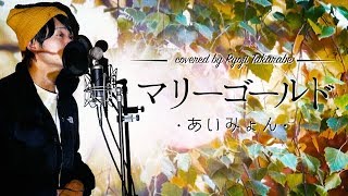 【原曲キーで】quotマリーゴールドquot あいみょん  covered by 財部亮治 [upl. by Yren781]