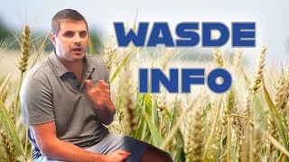 What To Know Before The WASDE October 2024 Zaner MarketCast [upl. by Retnyw]