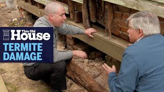 How to Prevent Termite Damage  This Old House [upl. by Luciana]