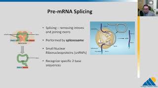 BIOL201 Ch154  RNA Processing in Eukaryotes [upl. by Mario]