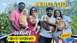 Best Yercaud Resort 😍 Unforgettable Adventure in Yercaud 12Acre Forest Estate 4K 😍 [upl. by Ainahpets93]