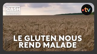 Gluten  notre blé estil devenu indigeste   Cash investigation [upl. by Erdnassak371]