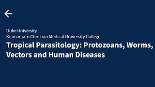 Tropical Parasitology Protozoans Worms Vectors and Human Diseases toxoplasmosis coursera [upl. by Lilhak]