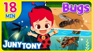 What Is Your Favorite Insect  Bugs ABC Mosquito Song 18minutes  Insect Songs for Kids JunyTony [upl. by Jereld]