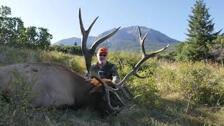 Elk Success Big Colorado bull elk with a muzzleloader [upl. by Rodney663]